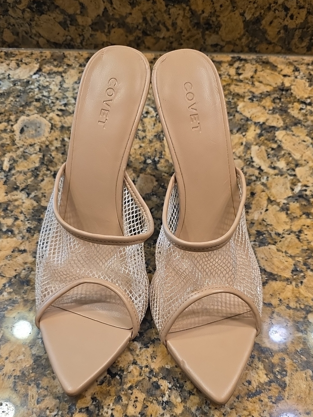 Covet Nude Mesh Pointed-Toe Mule Heels